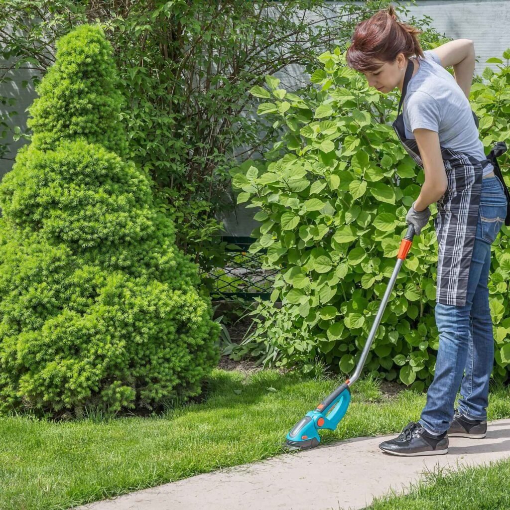 Yard Cleaning